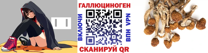 Псилоцибиновые грибы MAGIC MUSHROOMS  Купить  Мыски 